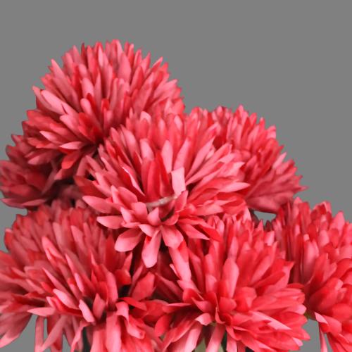 Chrysanthemum Bunch (#2105) Burgundy