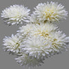 Chrysanthemum Bunch (#2105) Cream