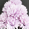 Chrysanthemum Bunch (#2105) Lavender