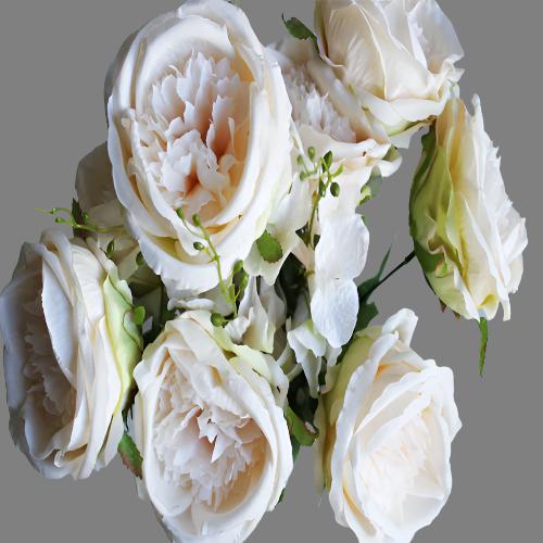 David Austin Rose Bunch (#2075) Pale Pink David Austin Rose Bunch (#2075) Pale Pink