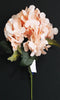 Hydrangea Bunch (#2068) Peach
