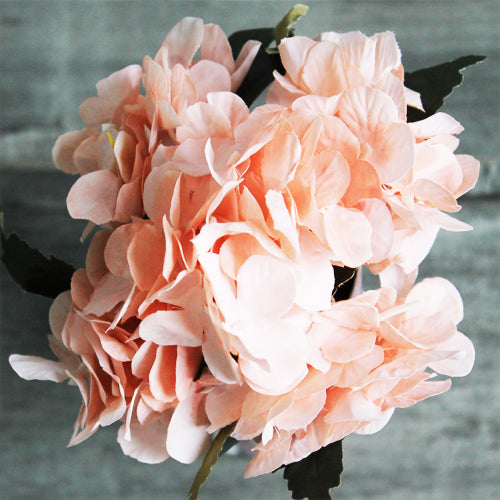 Hydrangea Bunch (#2068) Peach Hydrangea Bunch (#2068) Peach