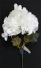 Hydrangea Bunch (#2068) White