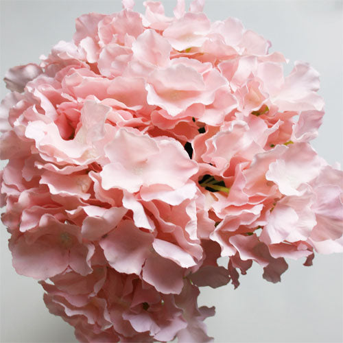 Hydrangea Bunch (#2082) Peach Hydrangea Bunch (#2082) Peach
