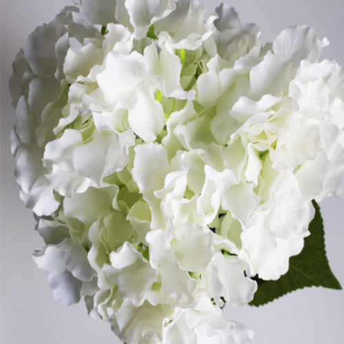 Hydrangea Bunch (#2082) White Hydrangea Bunch (#2082) White
