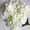 Hydrangea Bunch (#2082) White
