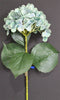 Hydrangea Stem (#1098) Green