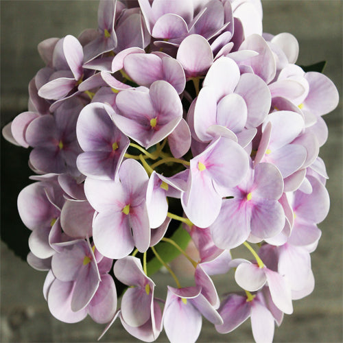 Hydrangea Stem (#1098) Lilak Hydrangea Stem (#1098) Lilak