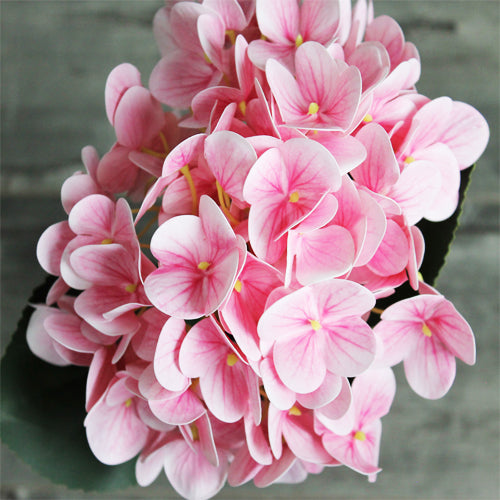 Hydrangea Stem (#1098) Pink Hydrangea Stem (#1098) Pink