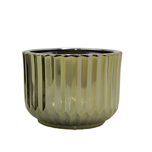 Deluxe Ribbed Series (Gold #4015)