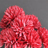 Chrysanthemum Bunch (#2105) Burgundy