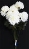 Chrysanthemum Bunch (#2105) Cream