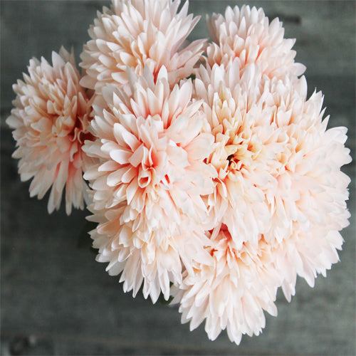 Chrysanthemum Bunch (#2105) Light Peach