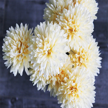 Chrysanthemum