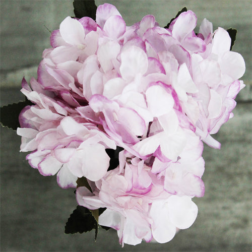 Hydrangea Bunch (#2068) Blushed Pink