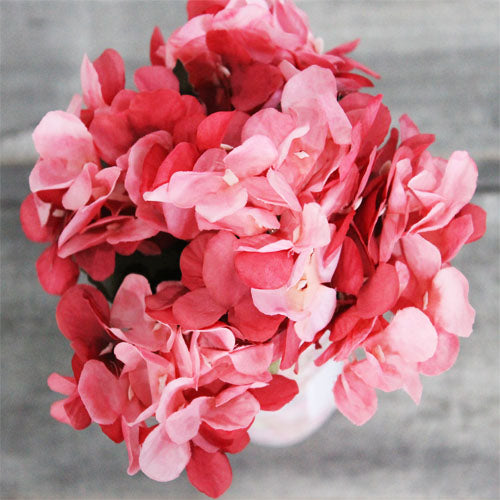 Hydrangea Bunch (#2068) Blushed Red