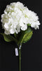 Hydrangea Bunch (#2082) White