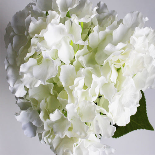 Hydrangea Bunch (#2082) White