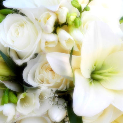 Sheer Lily & White Rose Fragrance Oil – floral scent for candles and diffusers