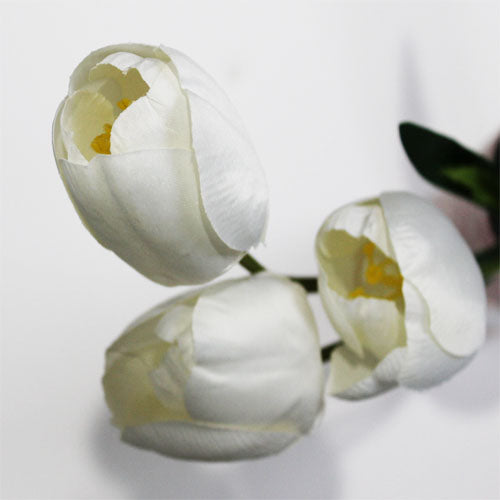 Tulip Flowers (#1005) White
