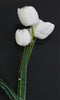 Tulip Flowers (#1005) White