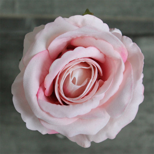 Velvet Rose Stem (#1011) Pink