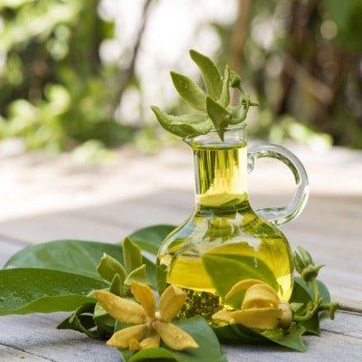 Polynesian Ylang Ylang Fragrance Oil – floral scent for candles and diffusers