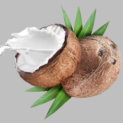 Coconut & Lemongrass Fragrance Oil – fruity scent for candles and diffusers