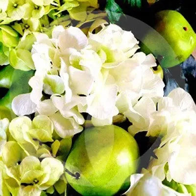 ENGLISH PEAR FREESIA FRAGRANCE OIL Australian Luxury Candle