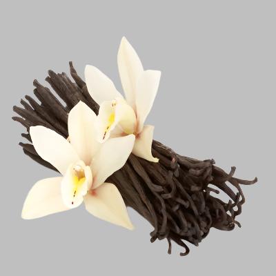 Vanilla Bean Fragrance Oil – gourmand scent for candles and diffusers